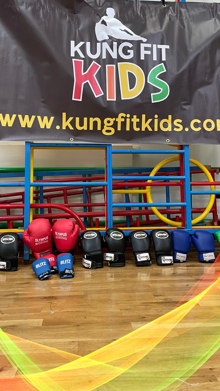 About Kung Fit Kids